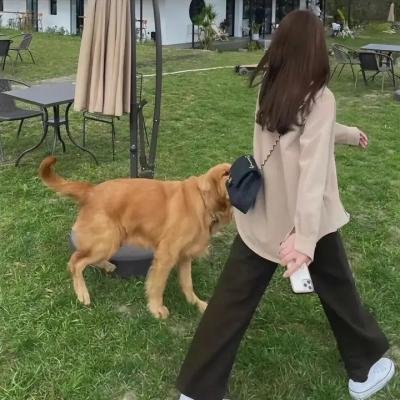 晓之春